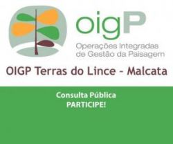 consulta publica AIGP Terras Do Lince